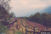 Discover Bella Italia: Top Italian Restaurants and Recipes