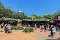 Avoid These Common Mistakes When Visiting Disney’s Animal Kingdom