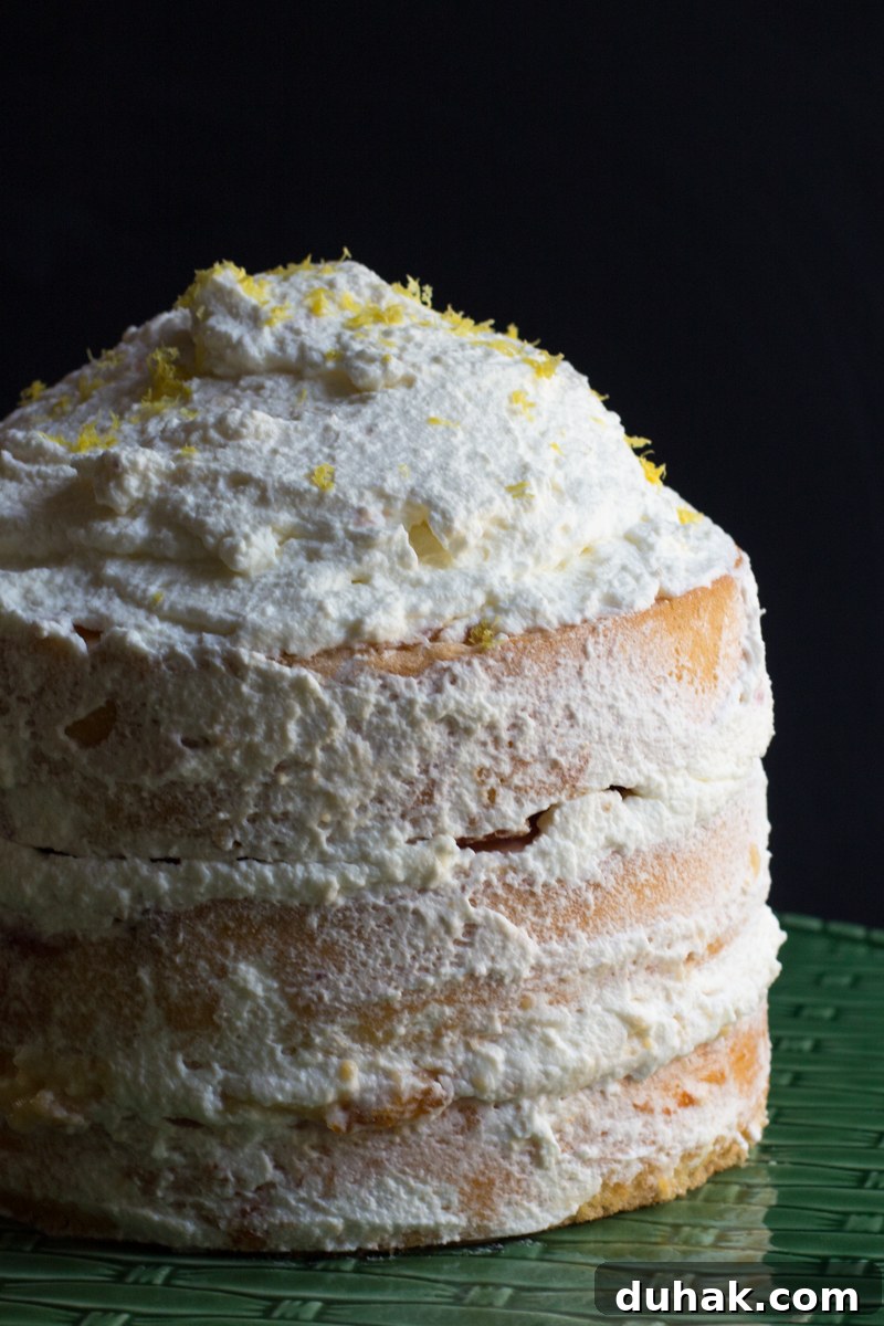 Traditional Danish Layer Cake (Lagkage): Recipe & Tips 2 Danish layer cake of sponge cake layered with apricot and raspberry jams and custard,all topped off with whipped cream.