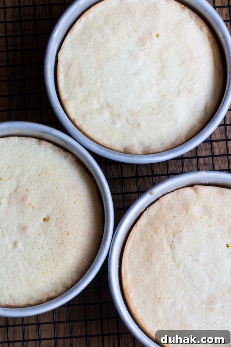 Traditional Danish Layer Cake (Lagkage): Recipe & Tips 4 danish-layer-cake-layer-pans