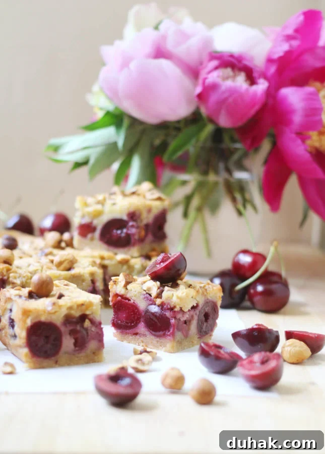 A celebration of all good things about summer, in bar form: Brown Butter, Hazelnut, and Cherry Clafoutis Bars // FoodNouveau.com