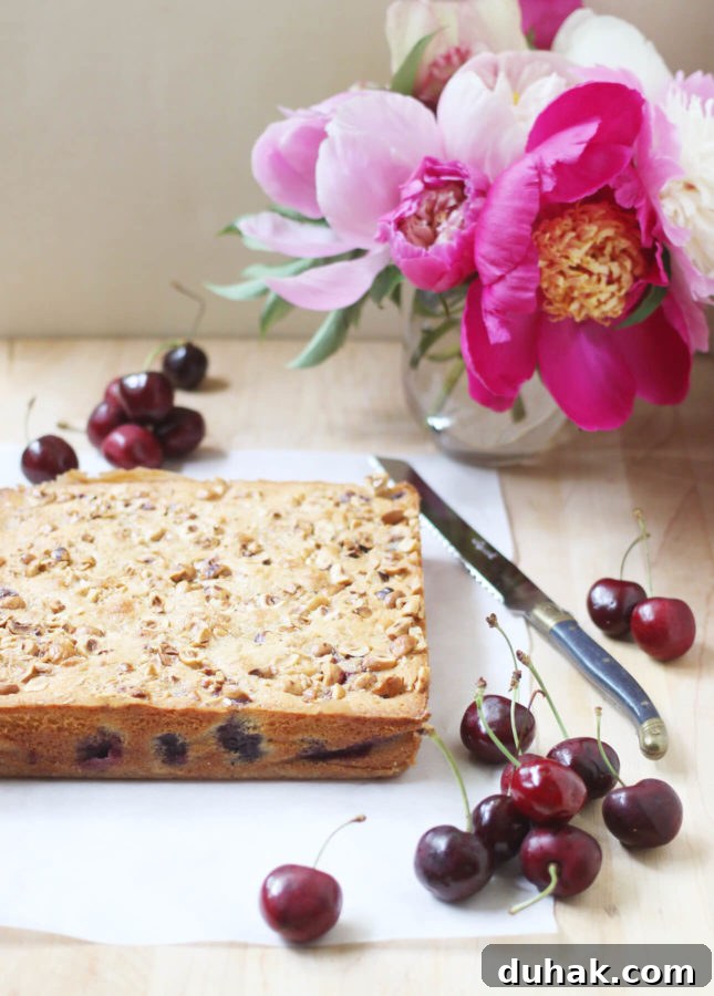 A celebration of all good things about summer, in bar form: Brown Butter, Hazelnut, and Cherry Clafoutis Bars // FoodNouveau.com