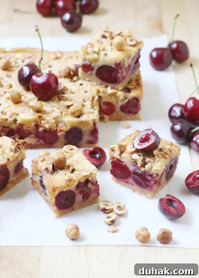 A celebration of all good things about summer, in bar form: Brown Butter, Hazelnut, and Cherry Clafoutis Bars // FoodNouveau.com