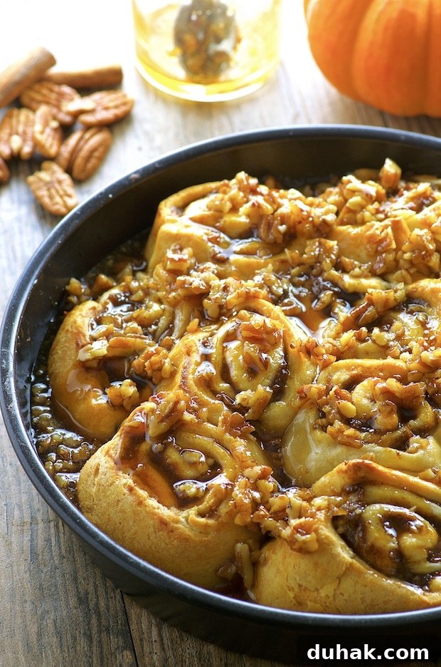 Maple-Banana Pumpkin Cinnamon Rolls with Warm Cinnamon Glaze 12 Side View of Easy Banana Pumpkin Cinnamon Rolls on a round black metal baking dish. The pumpkin cinnamon rolls are topped with maple syrup and pecans. On the background you there are some pecan a couple sticks of cinnamon, an empty glass container with leftover maple syrup and pecans and a view of a quarter of a baby punpkin