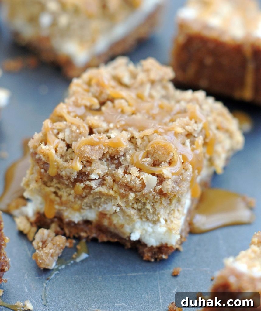 Pumpkin Cheesecake Bars with Cinnamon Streusel Topping 2 pumpkin-cheesecake-streusel-bars