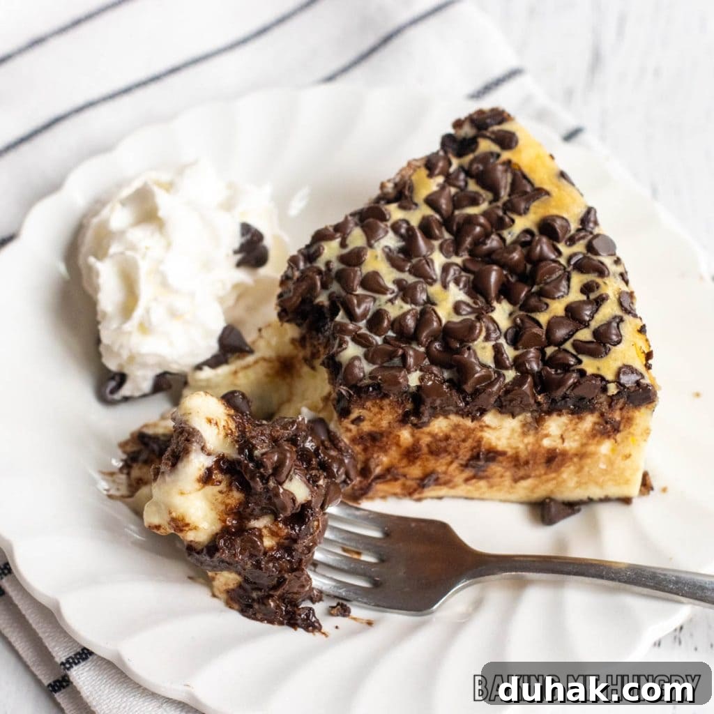 chocolate chip cheesecake recipe served on small plate with bite on a fork from overhead