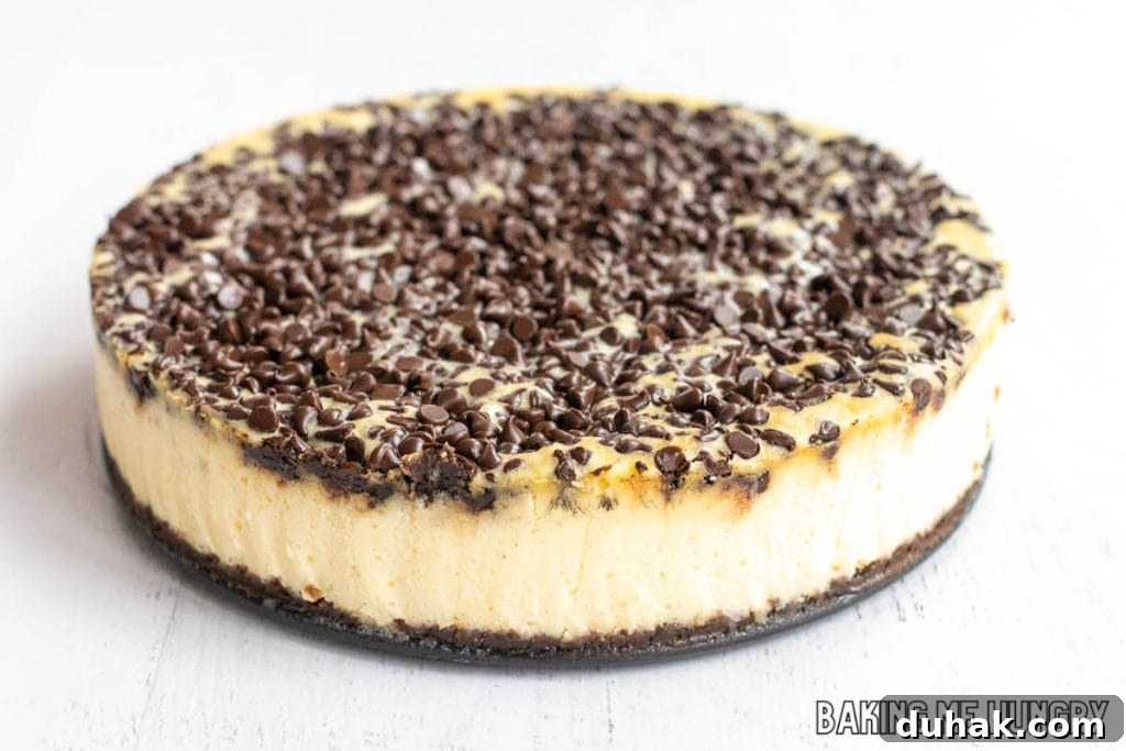 side view of chocolate chip cheesecake on platter