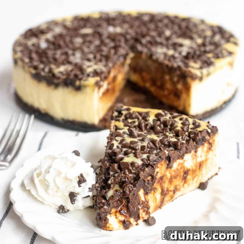 slice of chocolate chip cheesecake recipe served on small plate