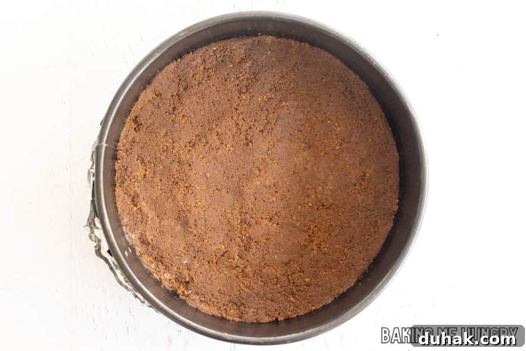 crust pressed into springform pan