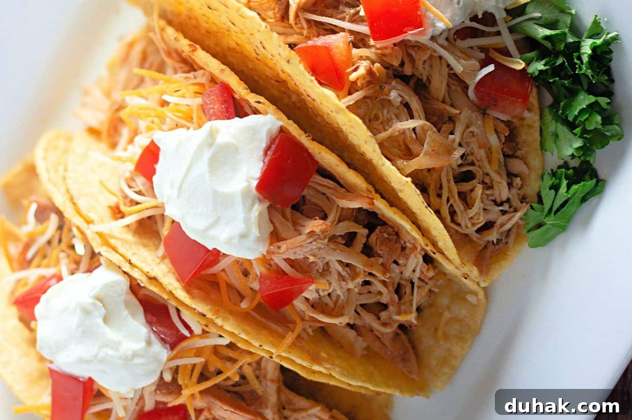 37 Comfort Food Recipes That Keep Reappearing on Menus 24 Three hard shell tacos filled with shredded slow-cooked chicken, cheese, diced tomatoes, and topped with sour cream, served on a white plate with a garnish of fresh parsley.