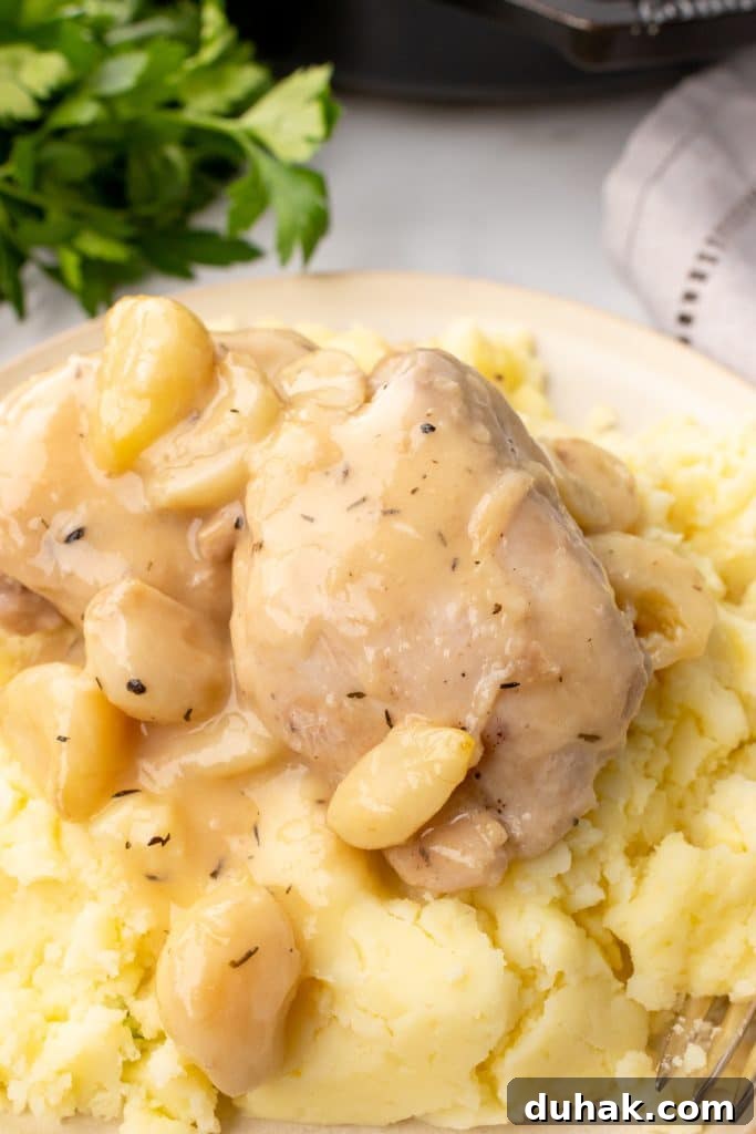 Pan-Seared Chicken Thighs with Creamy Garlic Gravy 7 pan seared chicken thighs in garlic gravy served over a bed of mashed potatoes on a white plate