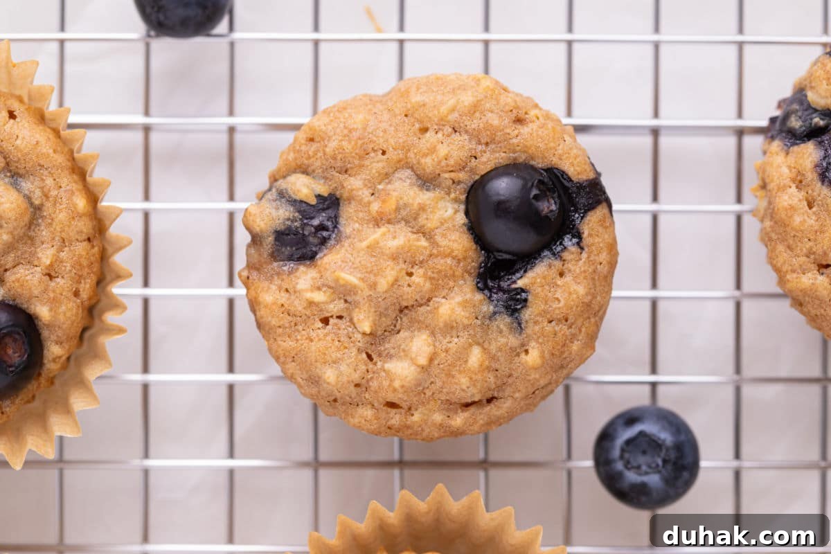 View of the top of a blueberry muffin on a cooling rack.