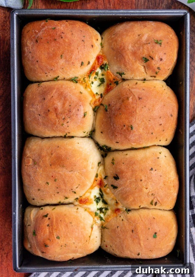 Cheesy Stuffed Dinner Rolls Recipe for Soft, Gooey Bites 2 Cheese Stuffed Dinner Rolls