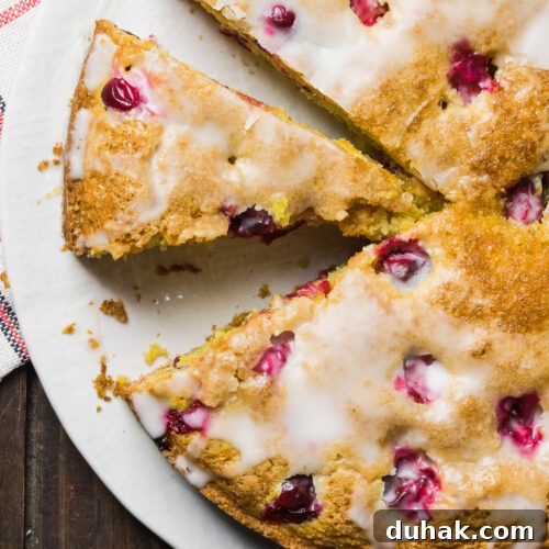 orange cranberry cake