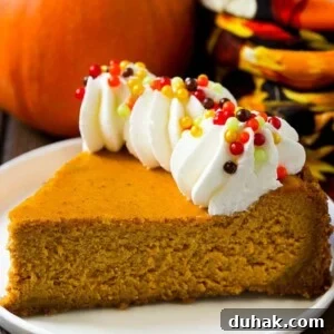 Pumpkin cheesecake slice with whipped cream.