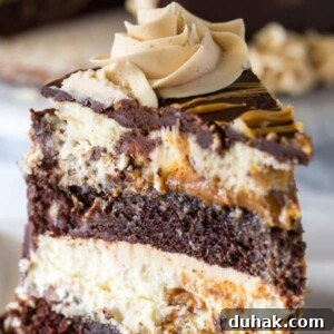 Reese's peanut butter chocolate cheesecake slice.