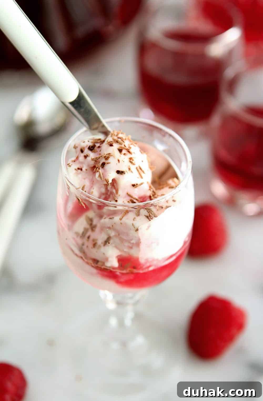 For a special treat, combine homemade Raspberry Liqueur with a scoop of ice cream for an easy and delicious dessert.