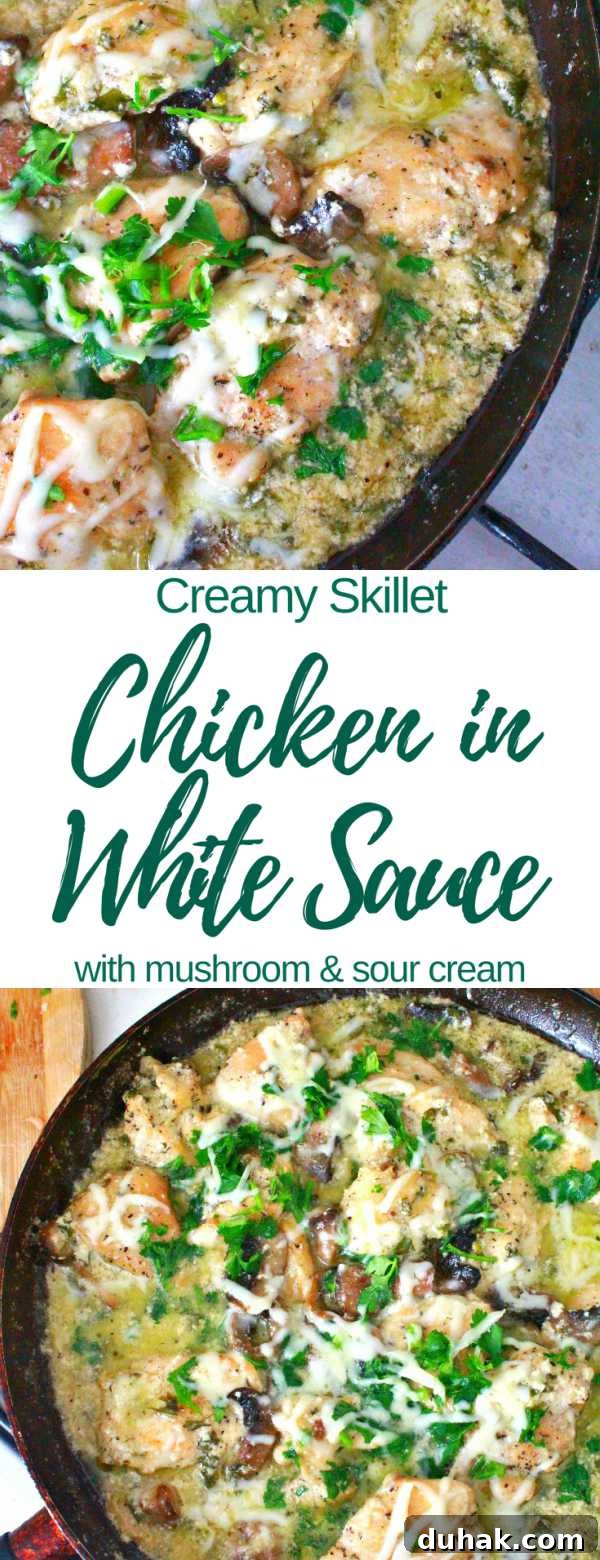 Twice-Baked Chicken, Vegetables & Sweet Potato Casserole 14 Chicken in white sauce recipe