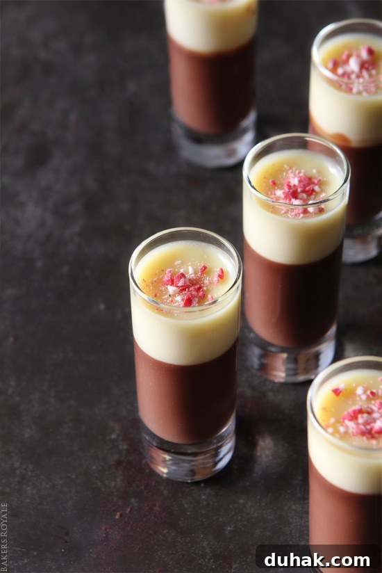 Double-Chocolate Peppermint Pot de Creme ~ A rich and creamy no-bake recipe that can be made two days in advance.