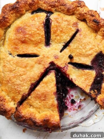 best blueberry pie