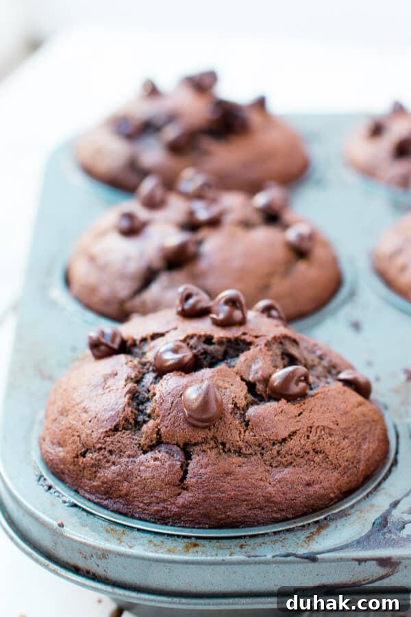 Glazed Poppy Seed Loaf with Video Tutorial 10 Double Chocolate Banana Muffin Deliciousness