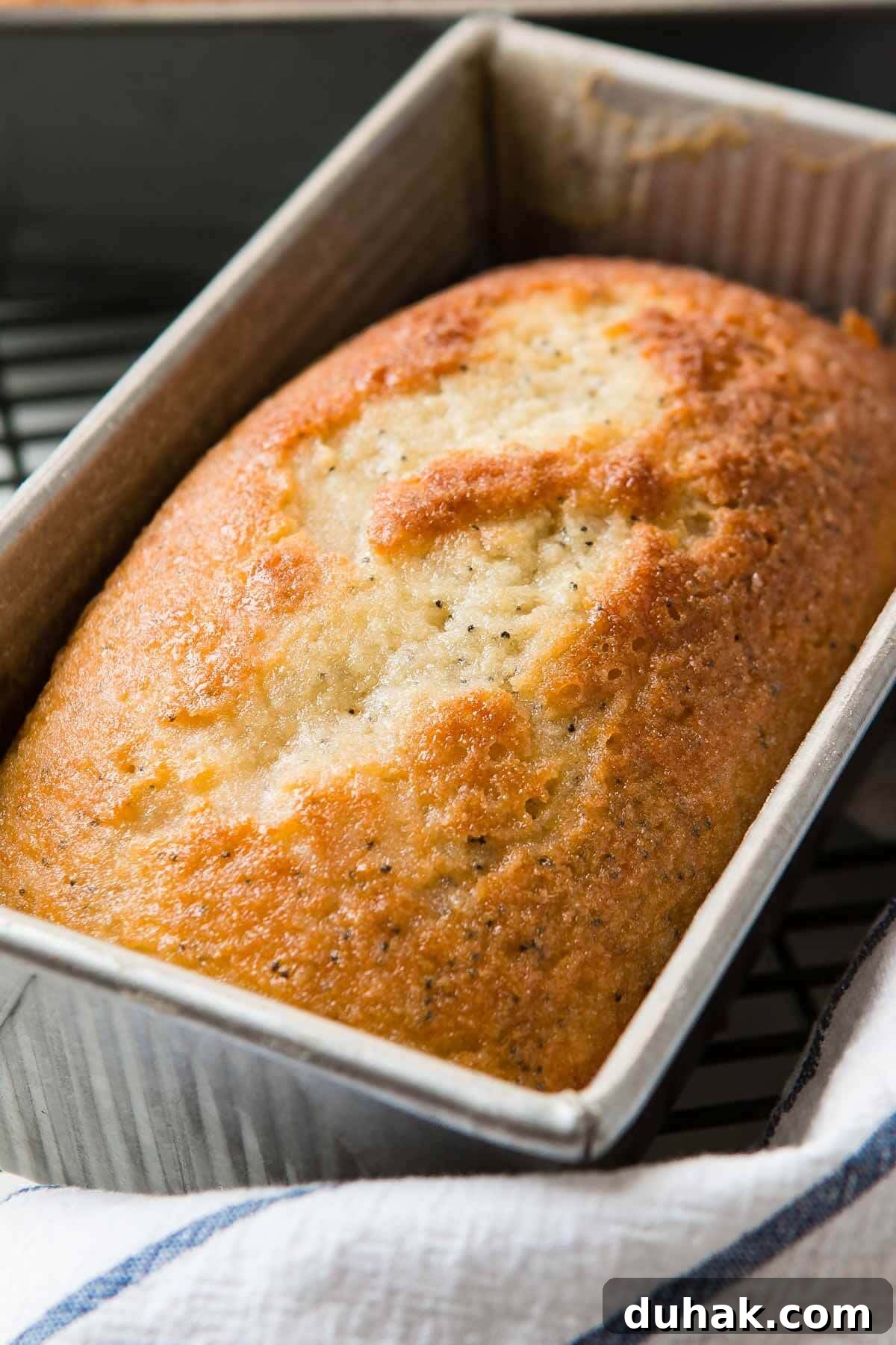 Glazed Poppy Seed Loaf with Video Tutorial 3 This lightly glazed poppy seed bread smells amazing while baking thanks to extracts that make the house smell like home