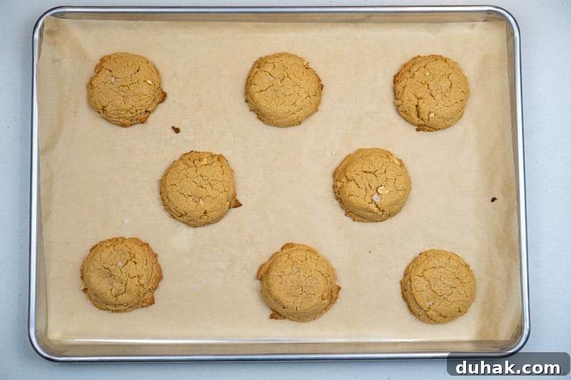 Cooling the baked cookies