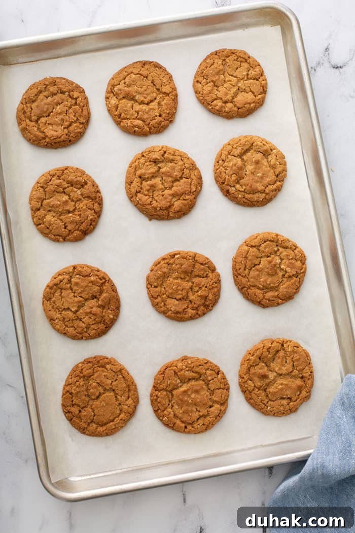 Biscoff Sandwich Cookies Recipe: Crispy Cookies with Lotus Spread Filling 7 Baked biscoff cookies cooling on a parchment-lined sheet pan