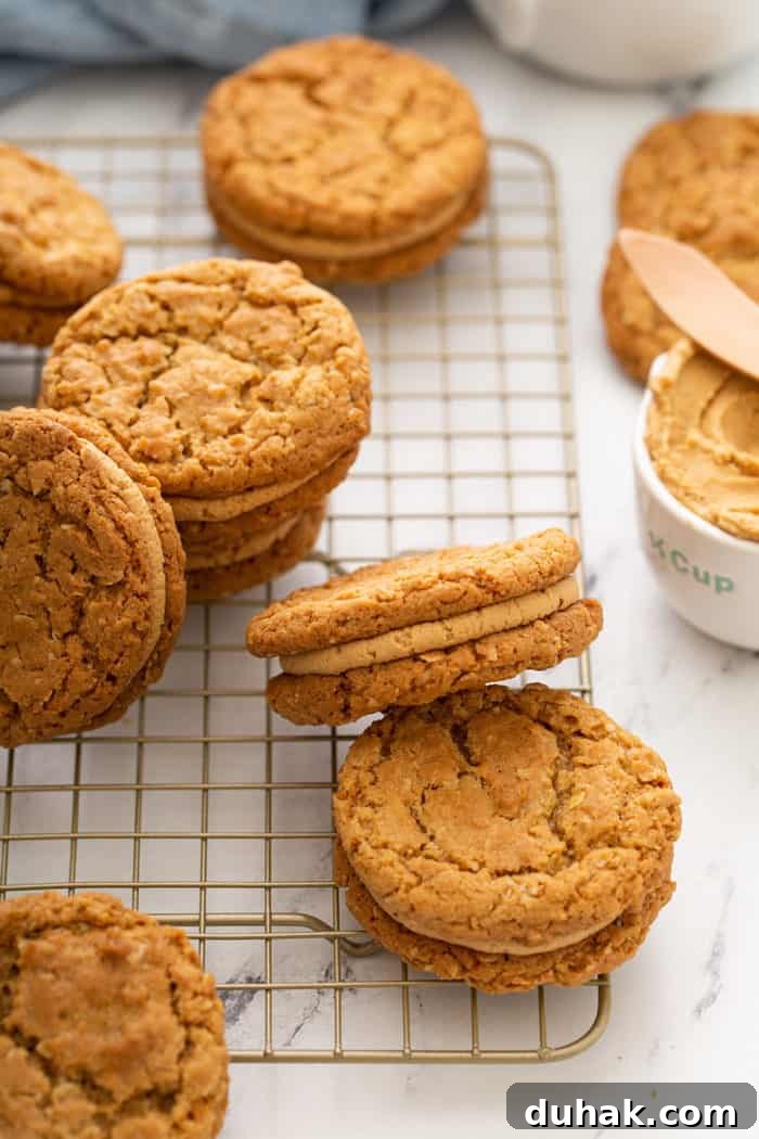 Biscoff Sandwich Cookies Recipe: Crispy Cookies with Lotus Spread Filling 9 Biscoff sandwich cookies scattered in a wire cooling rack