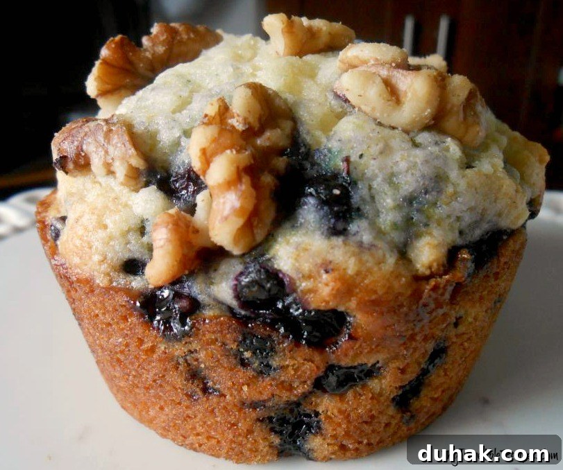 Fluffy Blueberry Muffins with Crunchy Walnuts 3 Blueberry Walnut Muffin on a pretty white plate