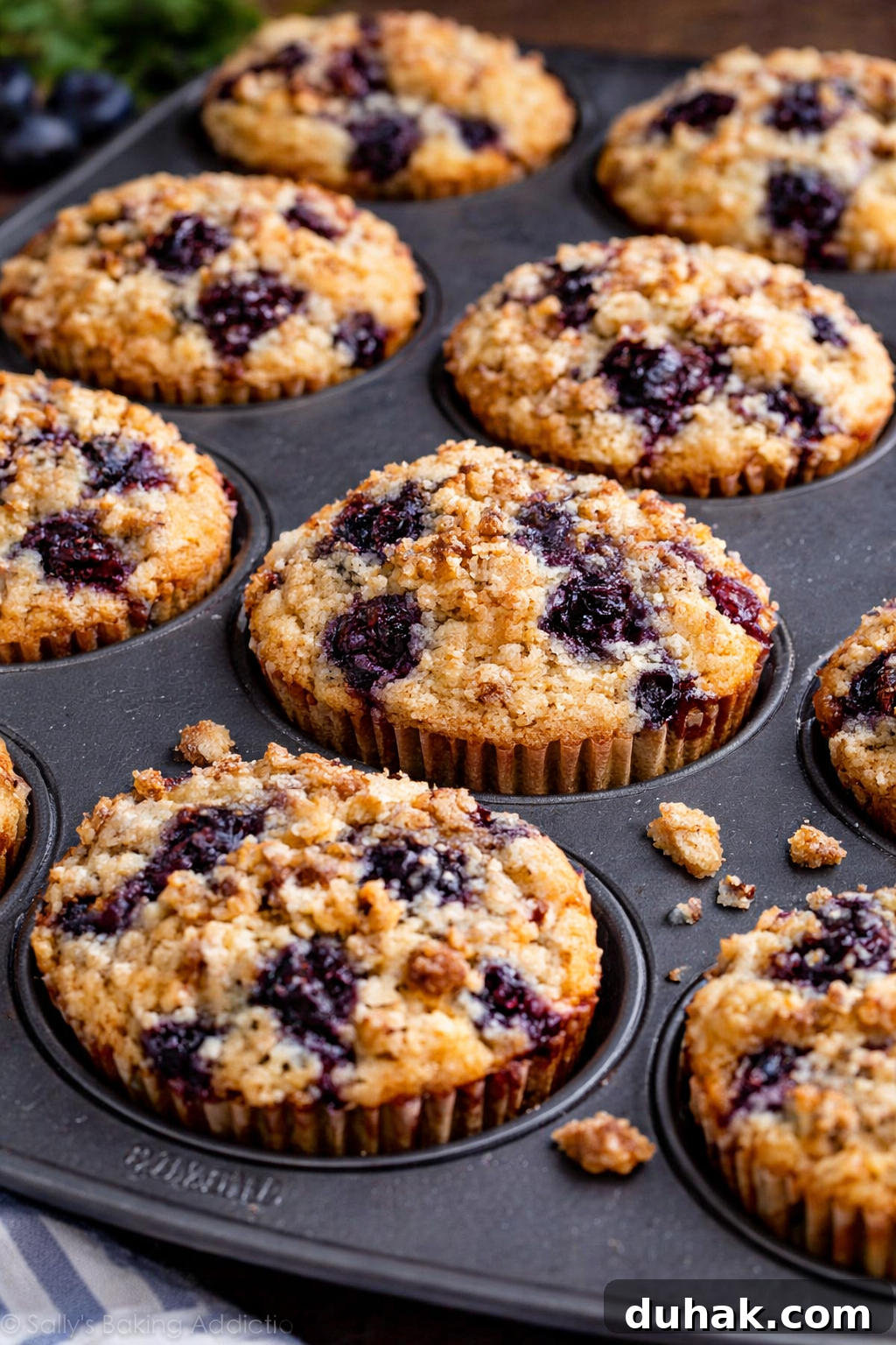 Fluffy Blueberry Muffins with Crunchy Walnuts 4 Blueberry Walnut Muffins in a muffin tin