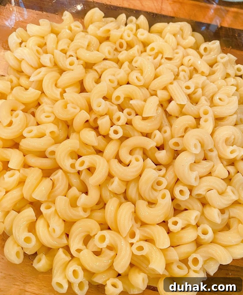 Cooked Pasta in a bowl.