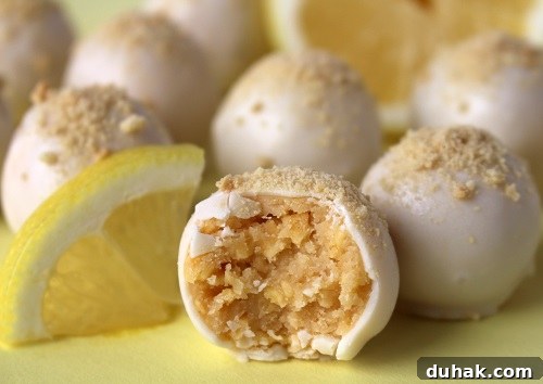 Girl Scout Lemonades Cookie Truffles Recipe — Zesty Lemon Dessert 10 img 1770 9
