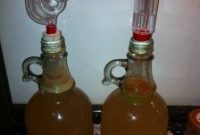 Sourdough Cider: How to Make Tangy Fermented Hard Cider