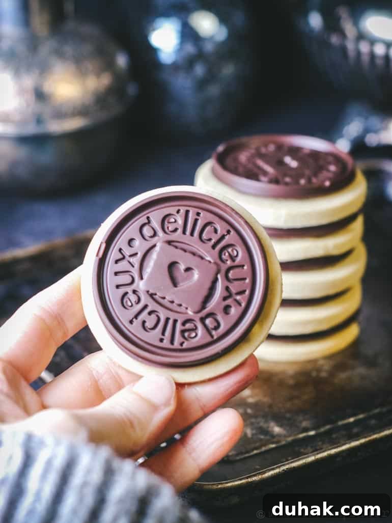vegan gluten-free shortbread cookies with chocolate