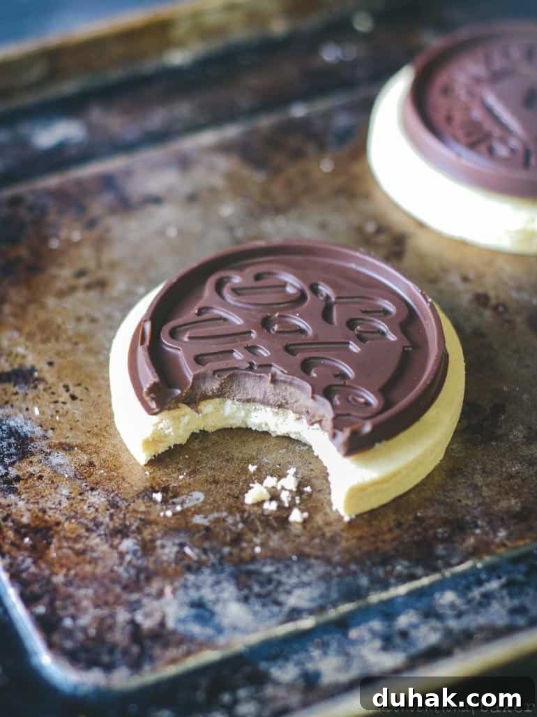 vegan gf shortbread cookies with chocolate 