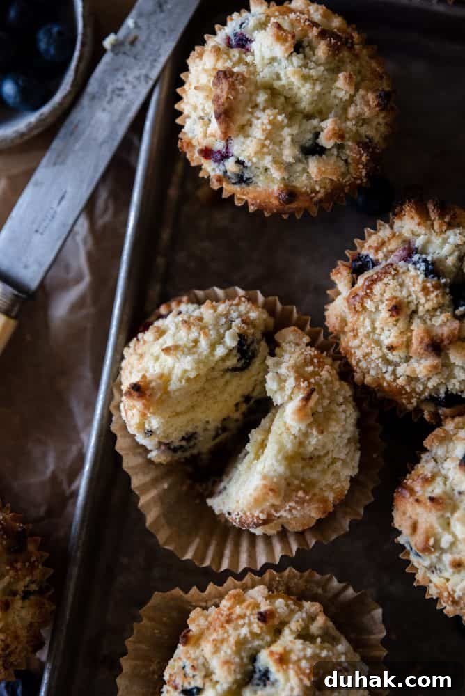 blueberry muffins on tray