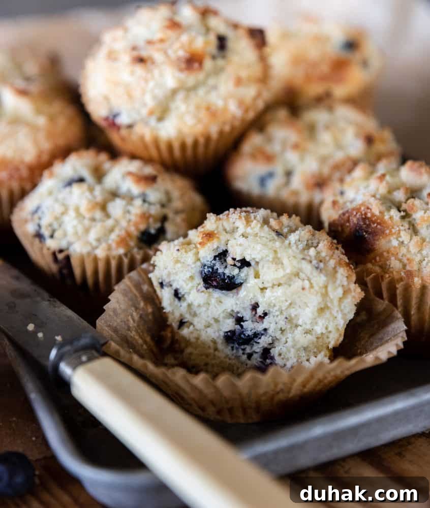 blueberry muffins on tray