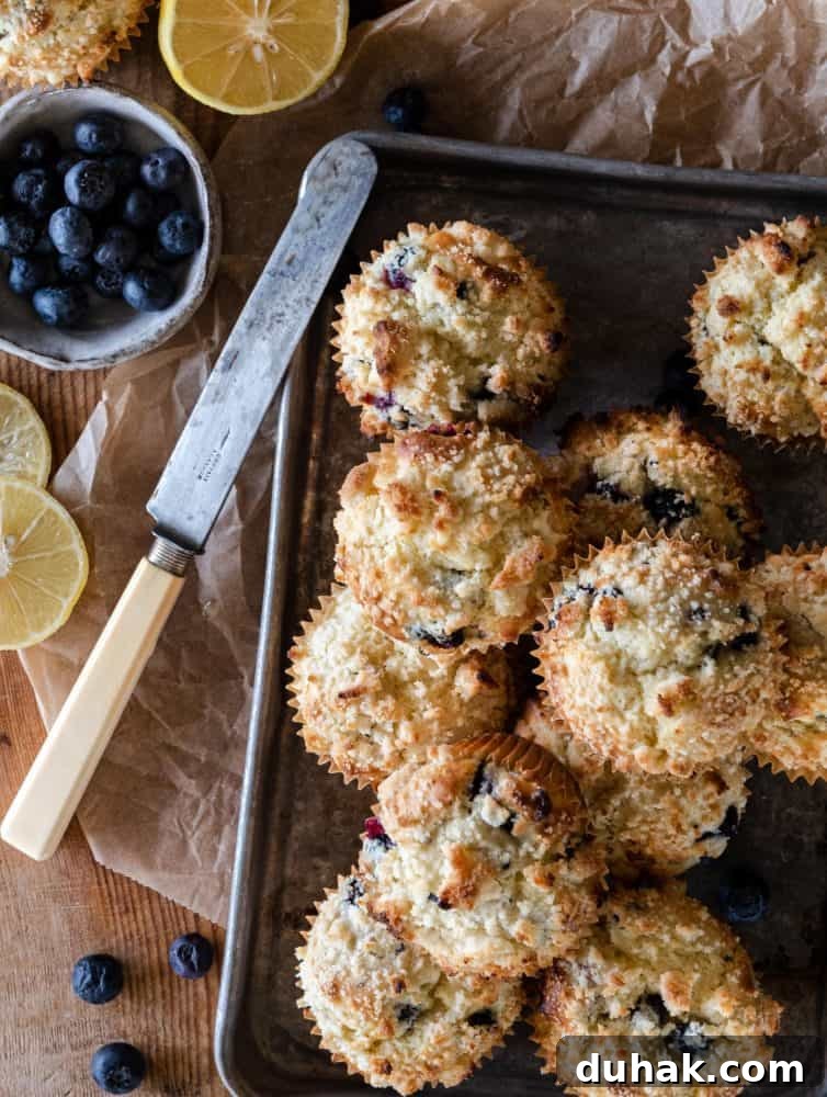 blueberry muffins on tray