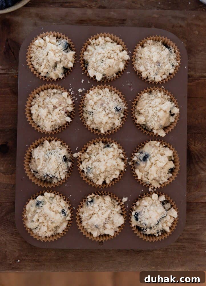 blueberry muffin batter in muffin tin