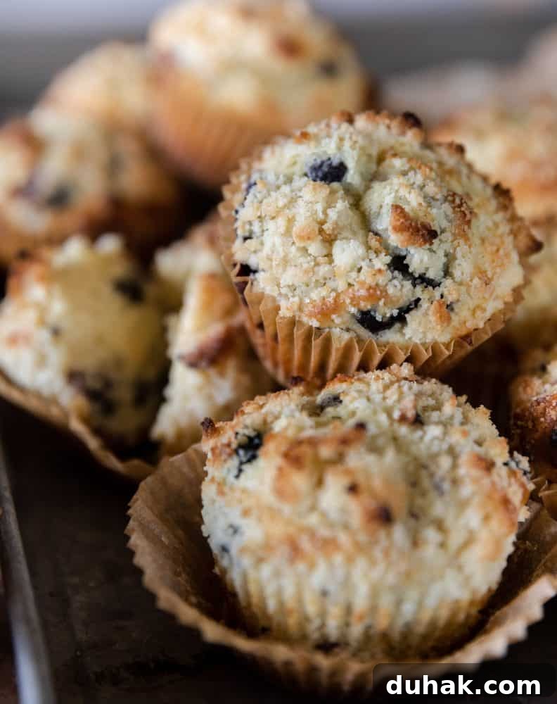 blueberry muffins on tray