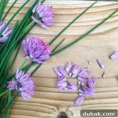 chive blossoms