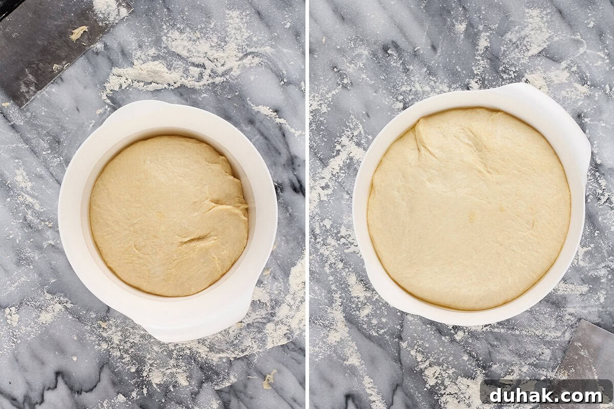 Cheese Zombies: How to Make Creepy Savory Appetizers for Parties 7 dough before and after rise in bowl