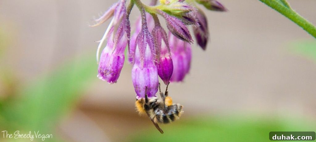 10 Flower Varieties That Attract Bees and Boost Pollination 4 Top 10 Bee Friendly Flowers