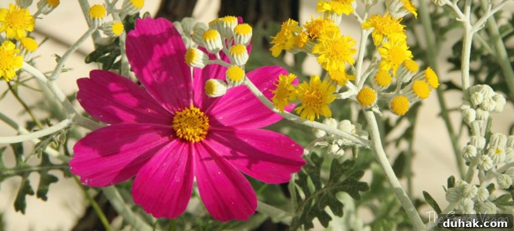 10 Flower Varieties That Attract Bees and Boost Pollination 9 Top 10 Bee Friendly Flowers