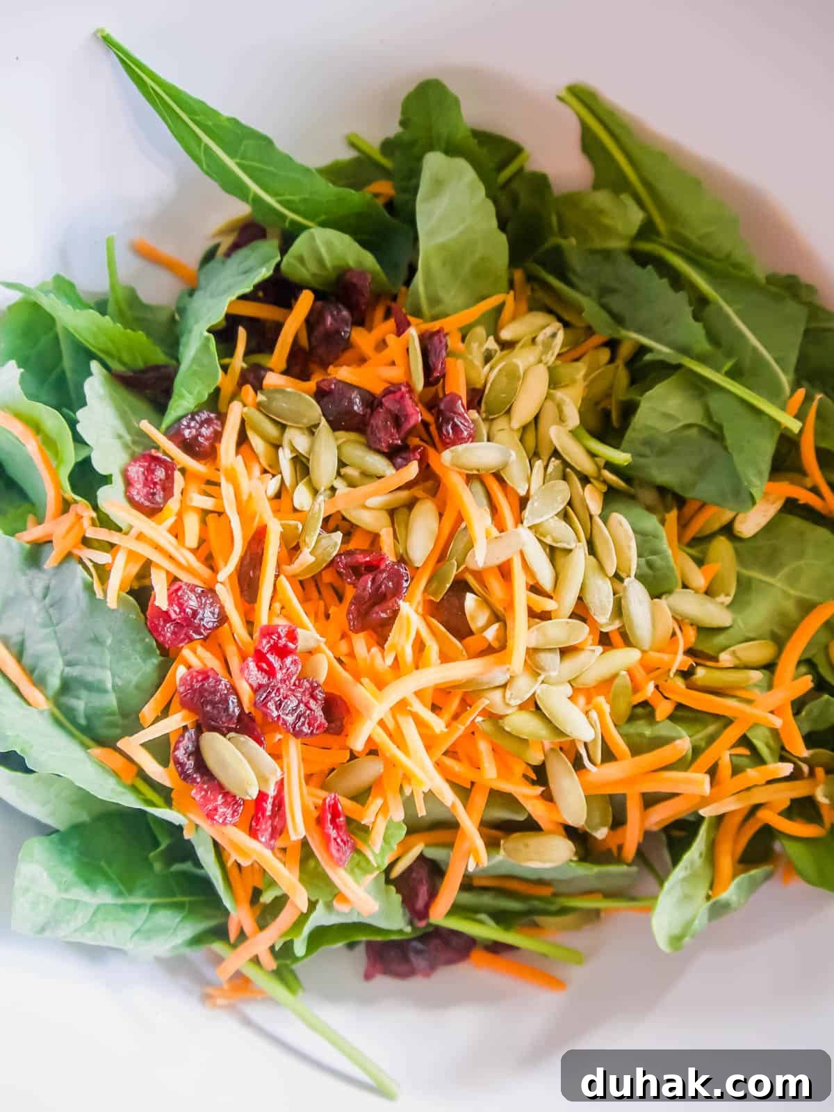 Autumn Harvest Salad with Maple Vinaigrette and Roasted Squash 8 Kale, carrots and pumpkin seeds in a bowl.