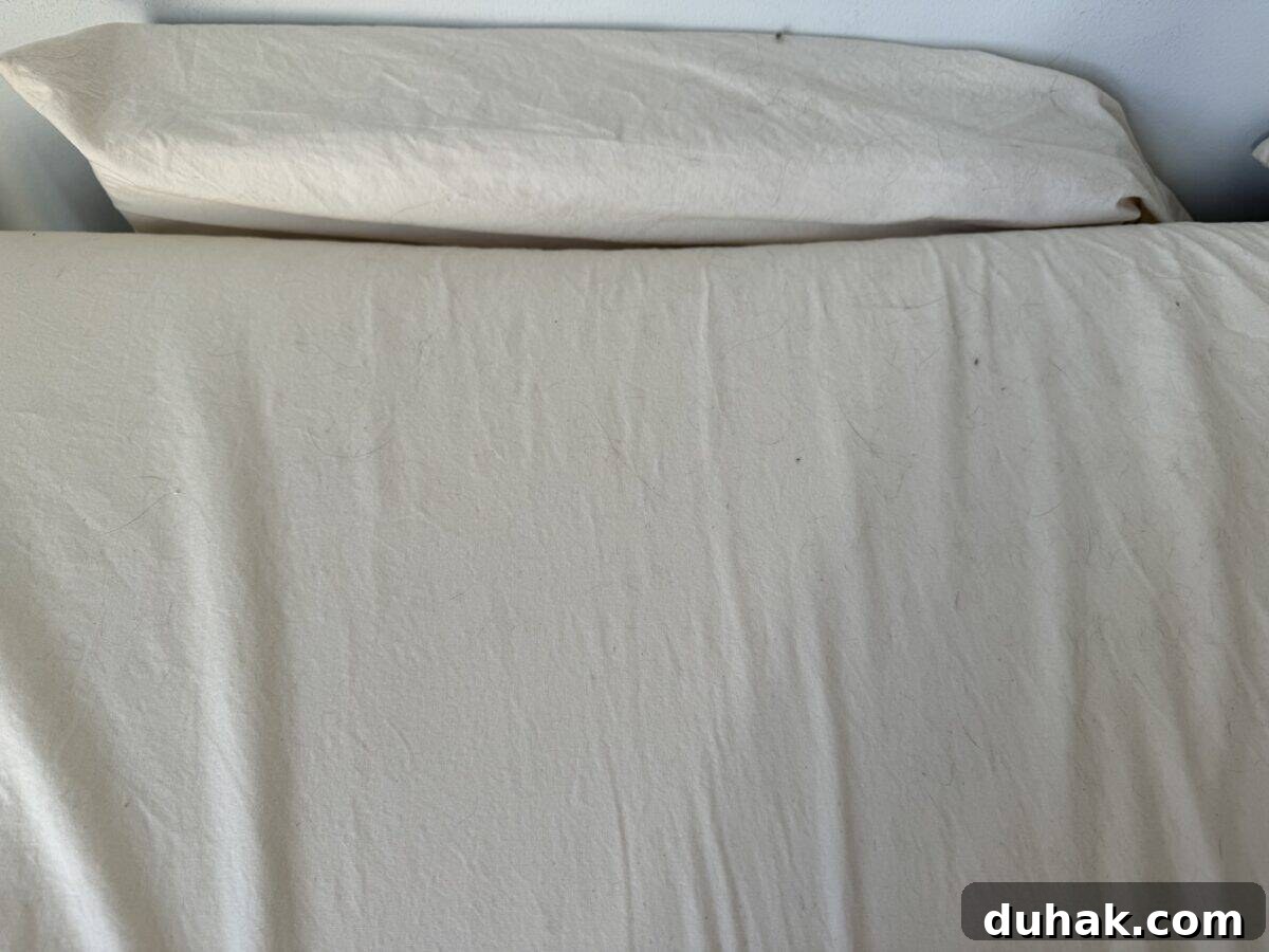 American Blossom Linens Review: 100% USA-Made Bedding Guide 5 Horizontal - Close up of cat fur on ABL sheets