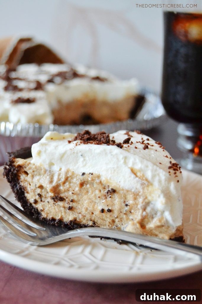 Cold Brew Coffee Pudding Pie Recipe for Coffee Lovers 3 a side view of a slice of cold brew coffee pie on a white plate