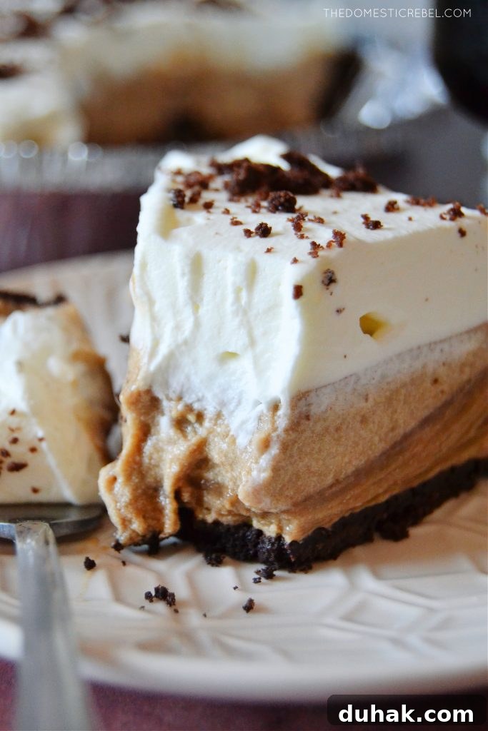 closeup of a cold brew pudding pie slice with a bite missing from it