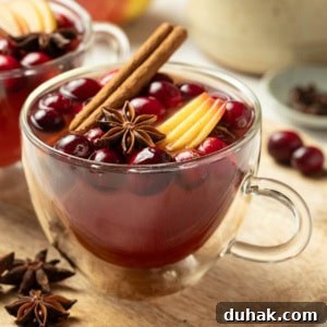 Alcohol-Free Wassail Recipe: Festive Mulled Apple Punch 7 Two mugs of Christmas wassail next to cinnamon sticks and star anise.